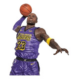 Lebron James Los Angeles Lakers Nba