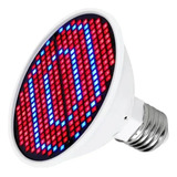 Bivolt