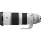 (sel200600g)