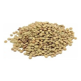 Lentilha Canadense Verde 1kg Casa Bela Premium
