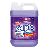 Limpador Kalipto Desinfetante Lavanda Perfumado Em Galão 5l