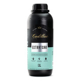 Limpador Sanitizante De Tecidos (extratcar) 1l