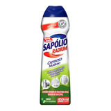 Limpador Sapólio Radium Saponáceo Limão Cremoso Em 450ml