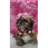 Pedigree