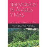 Livro: Testemunhos De Anjos E Mais: Não Há Impossibilidades