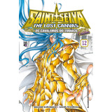 Livro Cavaleiros Do Zodiaco The Lost Canvas Gaiden Especial 