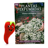 Livro Coleção Plantas Perfumadas: Flores E Folhagens (loja Do Zé)