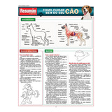 Cão