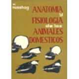 Domésticos