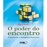 Livro Poder Do Encontro - Trabalhando