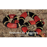 Livro Serpentes Da Amazônia