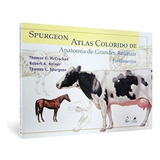 Livro Spurgeon Atlas Colorido De Anatomia