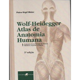 Livro Wolf- Heidegger Atlas De Anatomia Humana : Volumes 1 E 2 - Petra Köpf- Maier [2000]