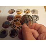 Lote 17 Tazos - Sukita (caps) - (animals Of The World)