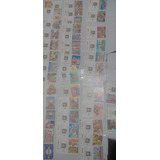 Panini