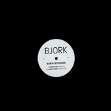 Lp Bjork Earth Intruders De 2007 Single 12 Remix E Importado