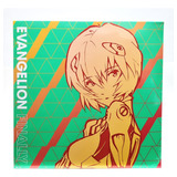 Lp Soundtrack Evangelion Finally 2lps Importado