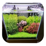 Luminaria Completa P/ Plantado 100 Cm 8 Barras C/wifi