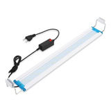 Bivolt