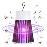Bivolt