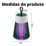 Insetos