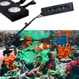 Luminria Oceantech Artika Marine Corais 36w Wifi Nano Reef Bivolt