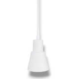 Bivolt