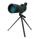 Bak-4