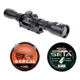 Seta