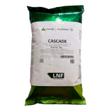 Lúpulo Cascade T90 1kg - Lnf