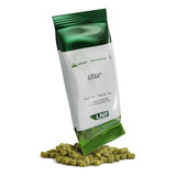 Lupulo Citra Em Pellet - 100g