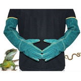 Verde-escuro