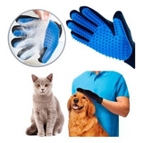 Gatos
