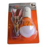 5w