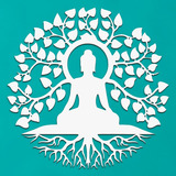 Cm
