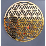 Mandala Flor Da Vida Espelhada Geometria Sagrada 90cm