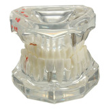 Dental