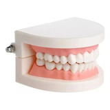 Dentista