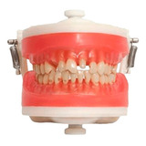 Manequim Top Materiais Dentários Pd101 -