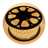 Mangueira Fita Chata Led 5050 30m + 2 Conector 110v Ou 220v