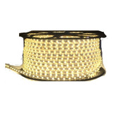 Mangueira Led 5050 Chata 30m + 5 Conector
