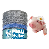 Morlan