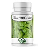 Manjericão Medicinal Rico Poder Digestivo Natural