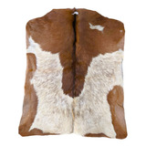 Cavalo