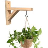 Plantas
