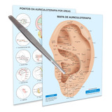 Mapa Acupuntura Auricular Pinça Auriculoterapia Reta