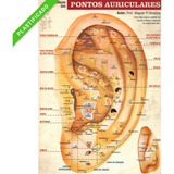Mapa Acupuntura Auricular Ponto Auriculoterapia Plastificado