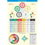 Mapa Banner 90x60 Cm Acupuntura Cinco 5 Elementos Prof. Elaine Medeiros Poster Grande