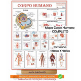 Mapa Corpo Humano Completo 120 X