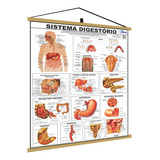 Medicina